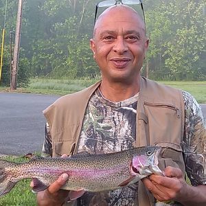 Meet your Posher, Donald